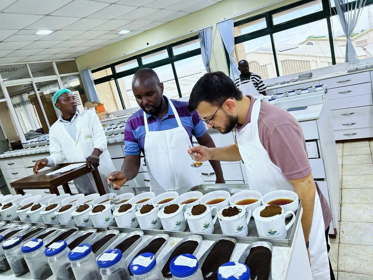 Tea professionals assessing brewed tea samples during a tasting session