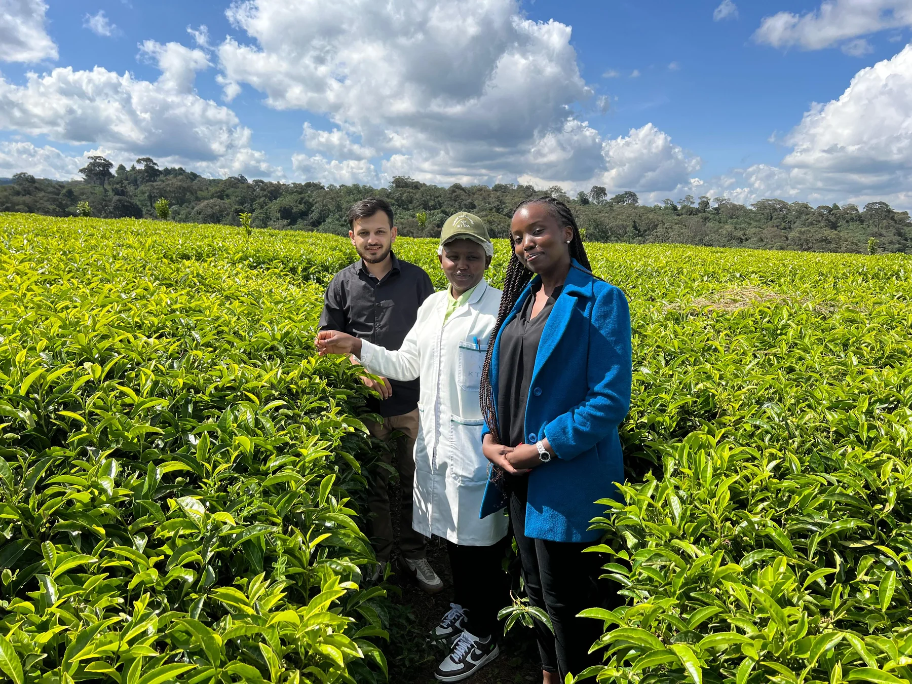 ARP team members visiting a tea field with local industry colleagues