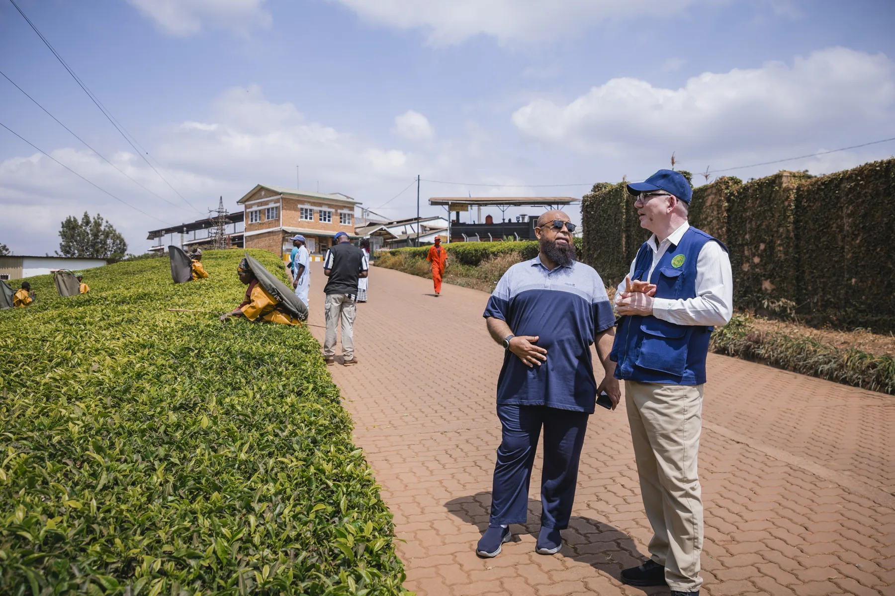 ARP representative visiting a tea-growing site in Rwanda