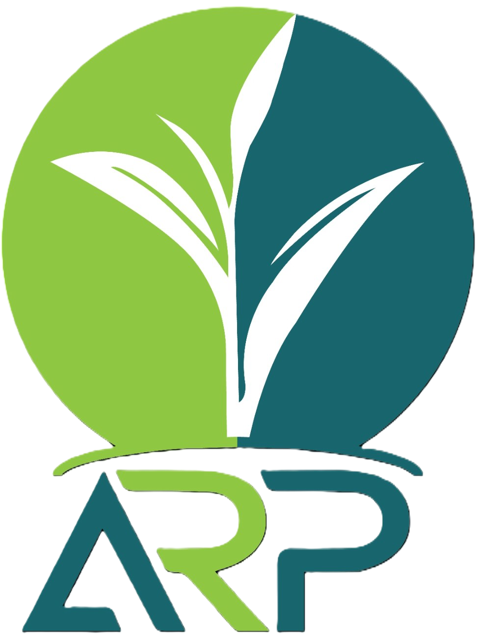 ARP Logo